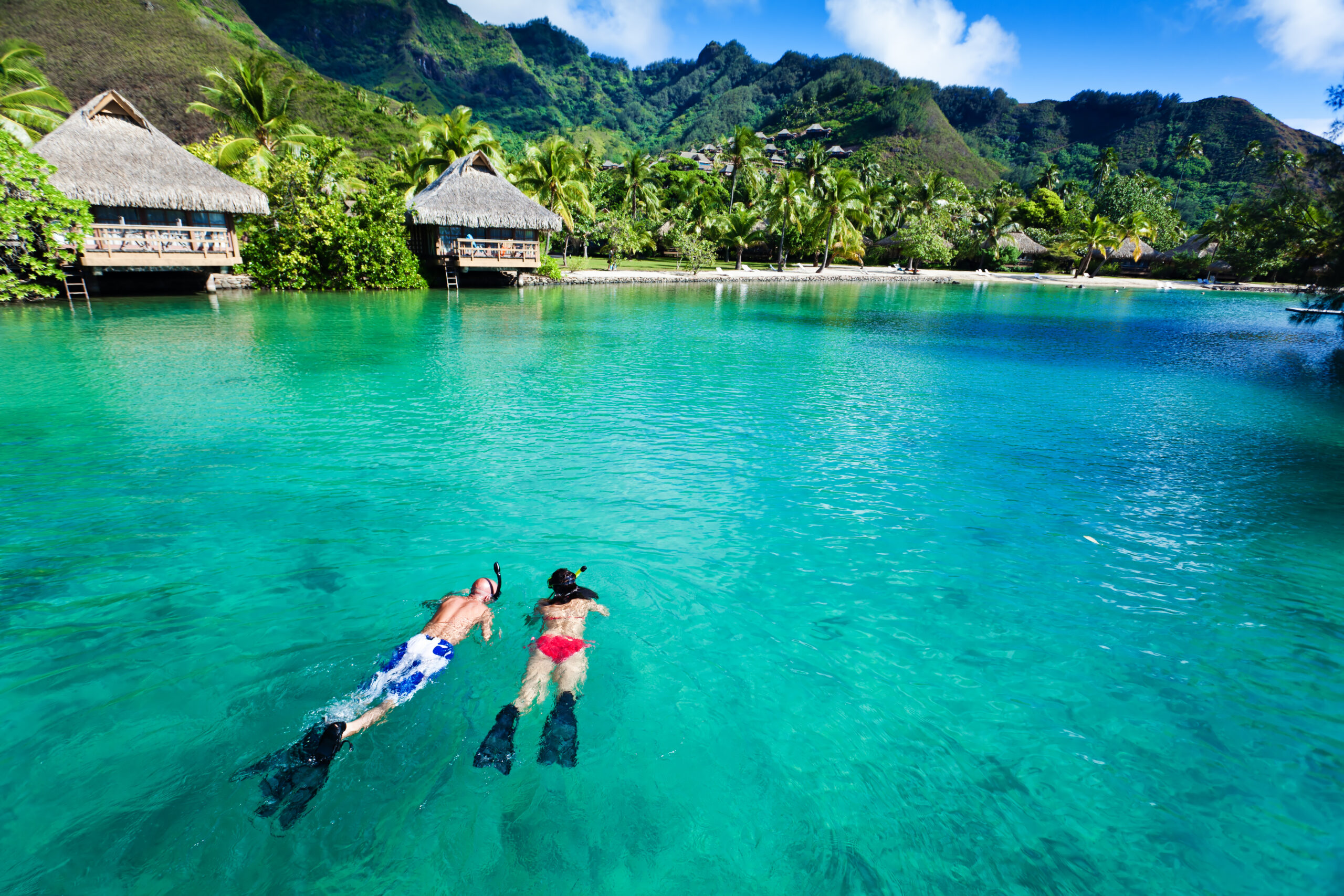 Plongée à Bora Bora : L’expérience ultime