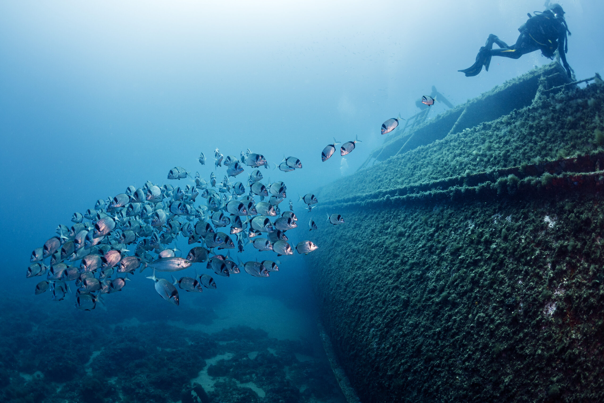 Buceo en Malta: Un tesoro submarino en el Mediterráneo