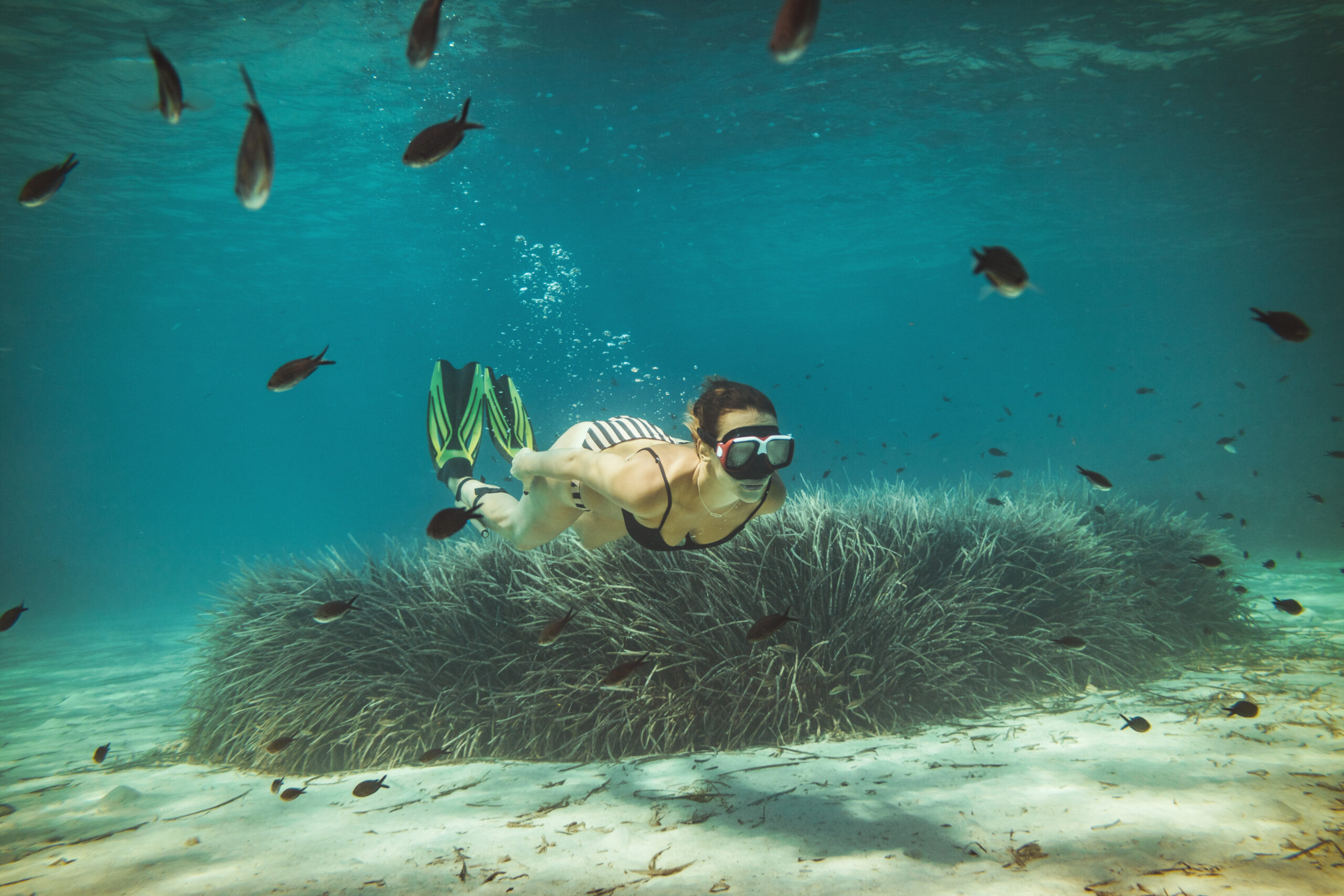 Buceo en Grecia: Explore los fondos marinos del mar Egeo