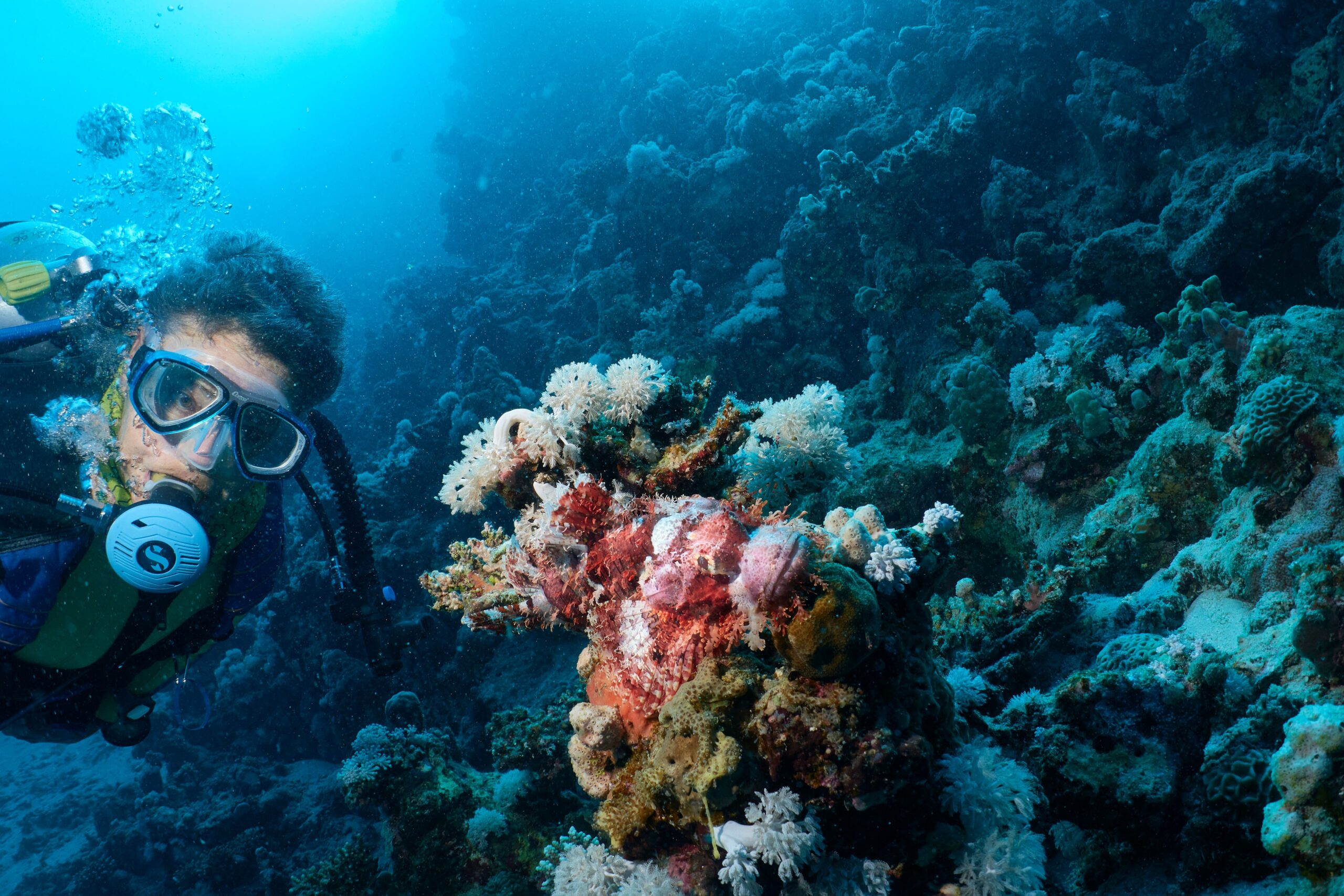 Plongée à Bali : Les meilleurs sites à ne pas manquer