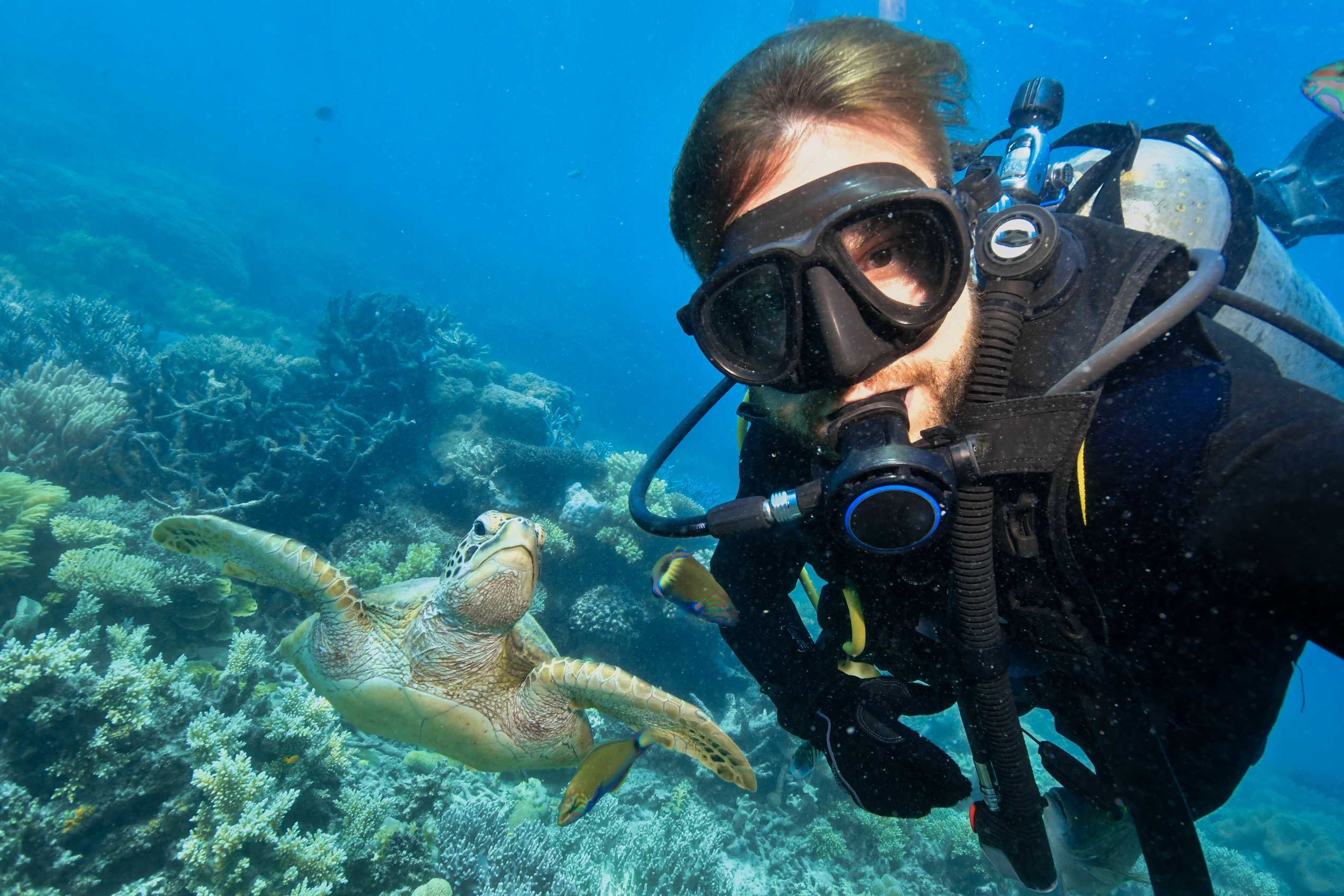 Plongée en Guadeloupe : Découvrez la réserve Cousteau