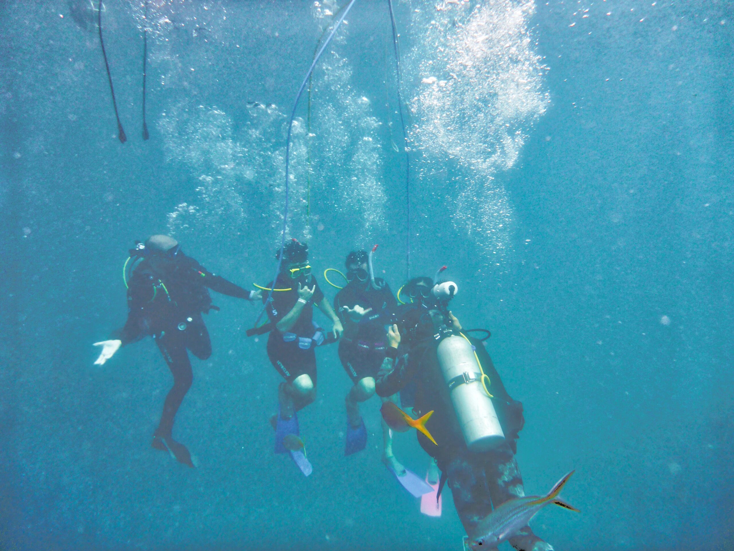 Bormes Buceo: buceo recreativo y técnico en el Var