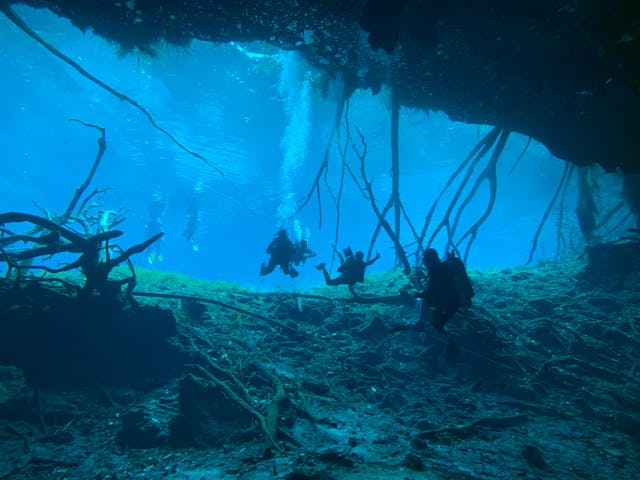 Plongée au Mexique : Découvrez les cenotes sous-marins