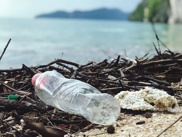 Microplastiques et plongée : ce que vous respirez et ce que vous voyez