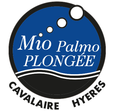 MiO Palmo Plongée : club réputé pour plonger autour d’Hyères et Port-Cros