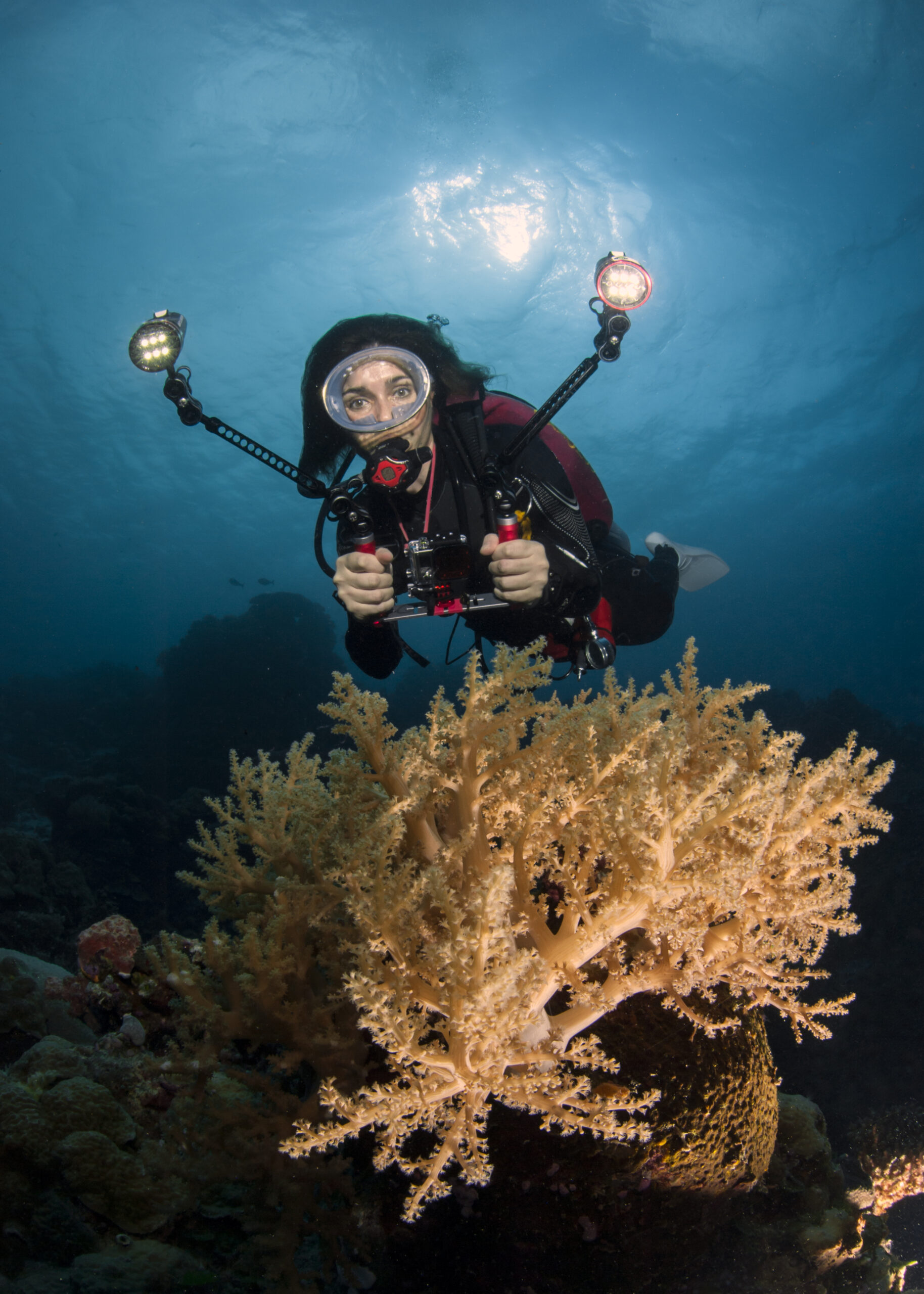 Plongée en Égypte : Les récifs de Sharm El Sheikh