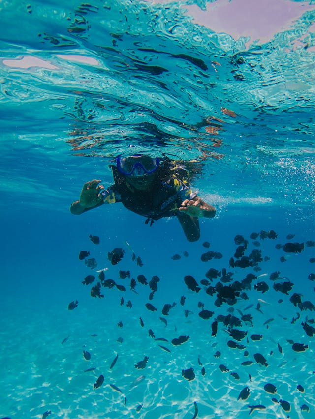 Buceo sostenible: 7 gestos simples para proteger los fondos marinos