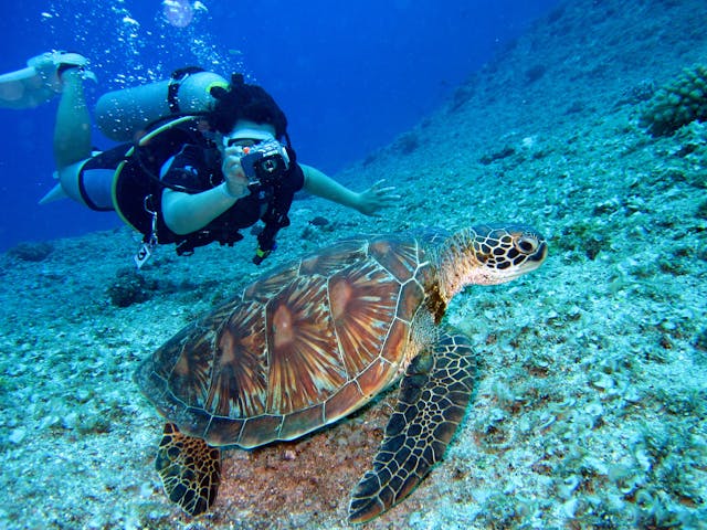 Buceo en Nueva Caledonia: Las mejores excursiones submarinas