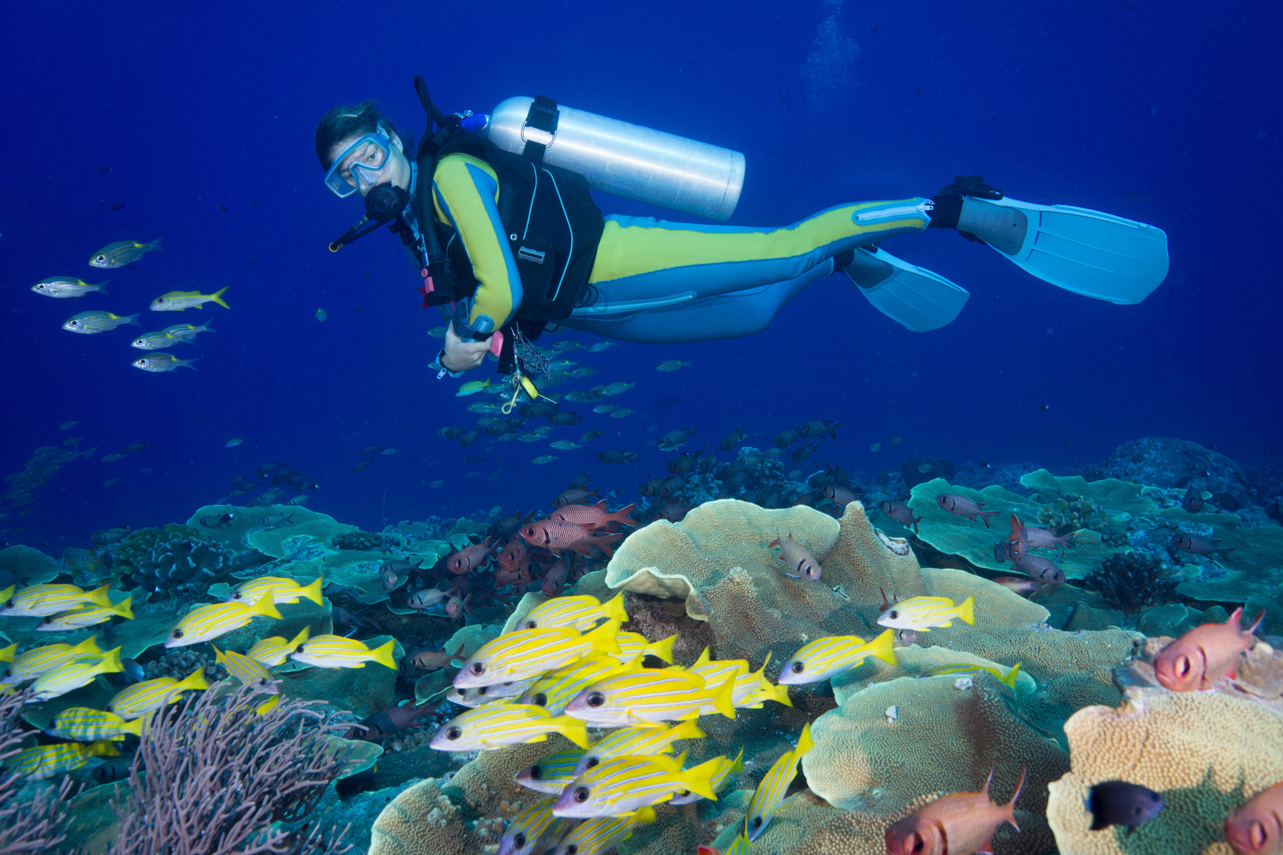 Biodiversité sous-marine : le rôle du plongeur dans sa protection