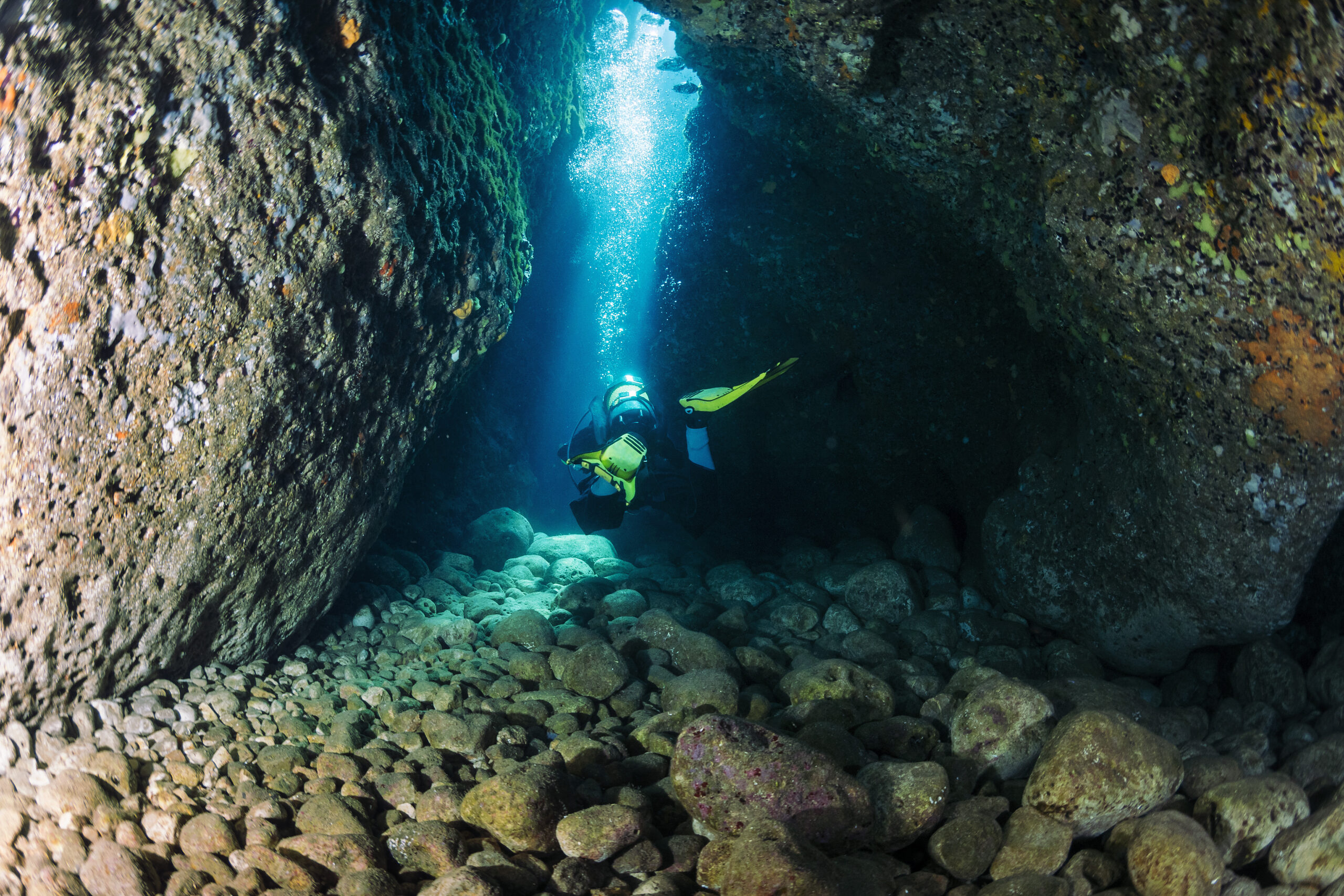 Grotte sous marine des vieilles une exploration unique de la biodiversité et des paysages de la Méditerranée