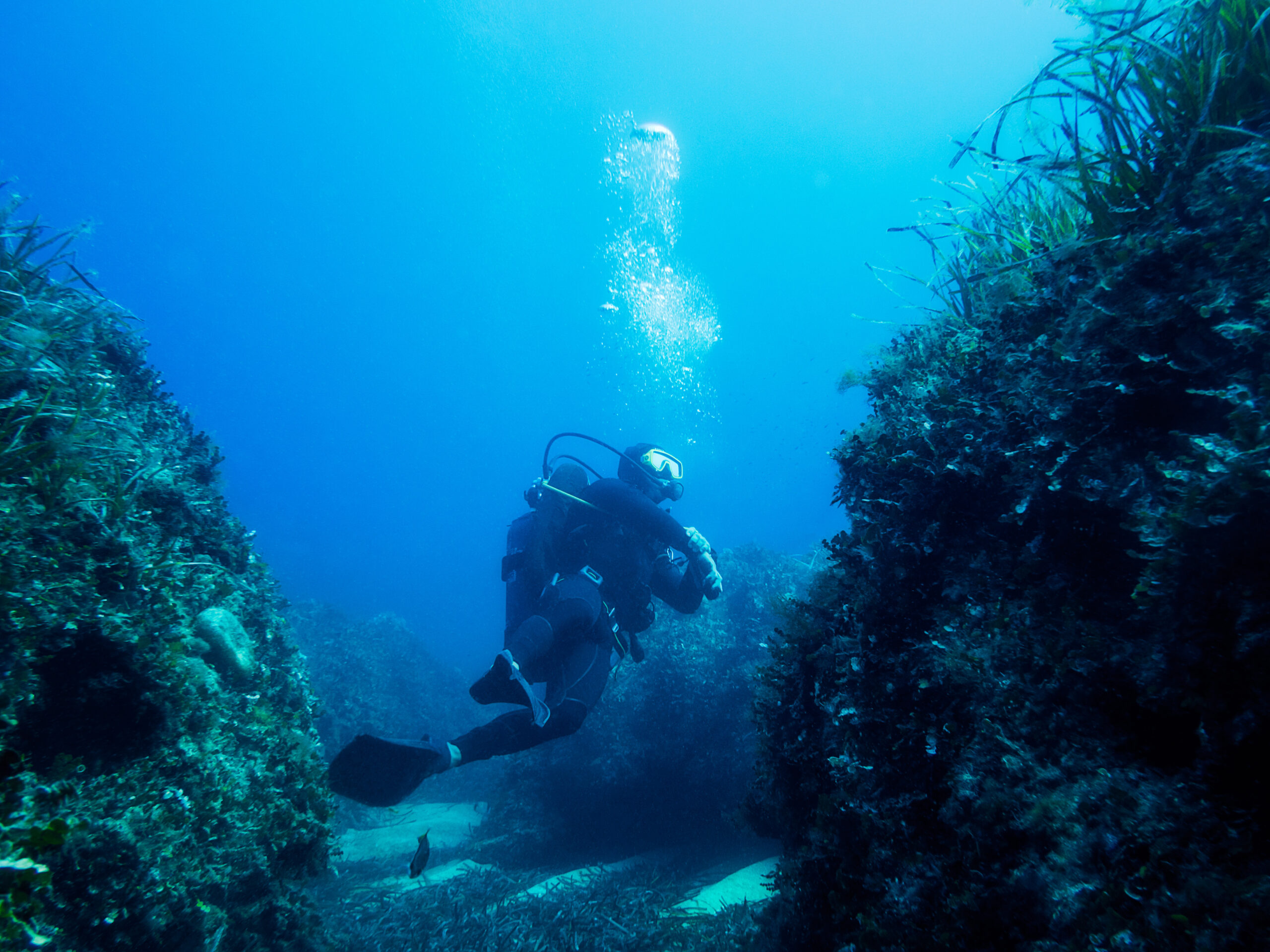Plongée en Italie : Explorez les fonds marins de la Sicile