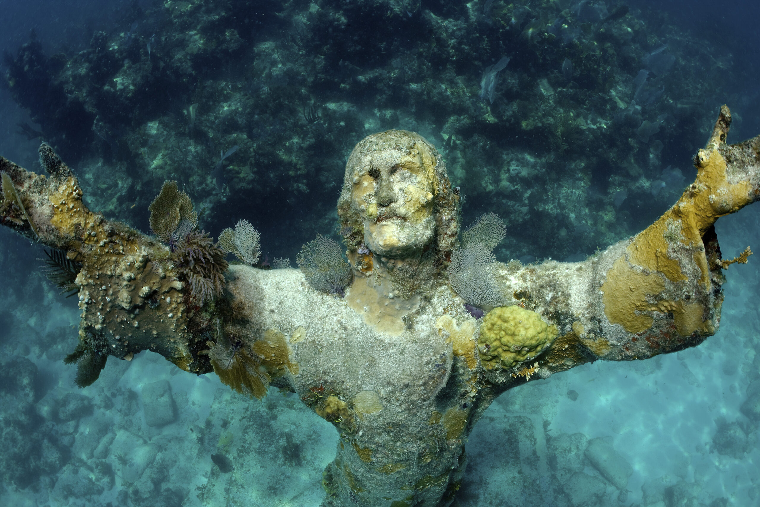 Njörd : dieu nordique de la mer et protecteur des navigateurs