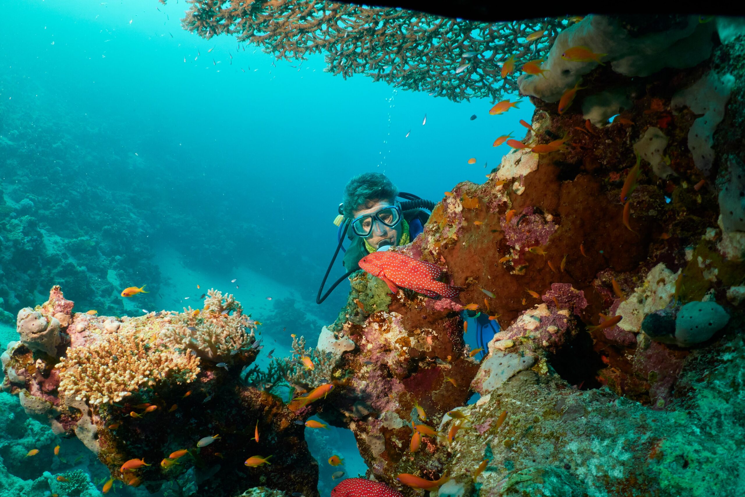 Plongée en Égypte : les sites de plongée de Dahab, du bord au Blue Hole