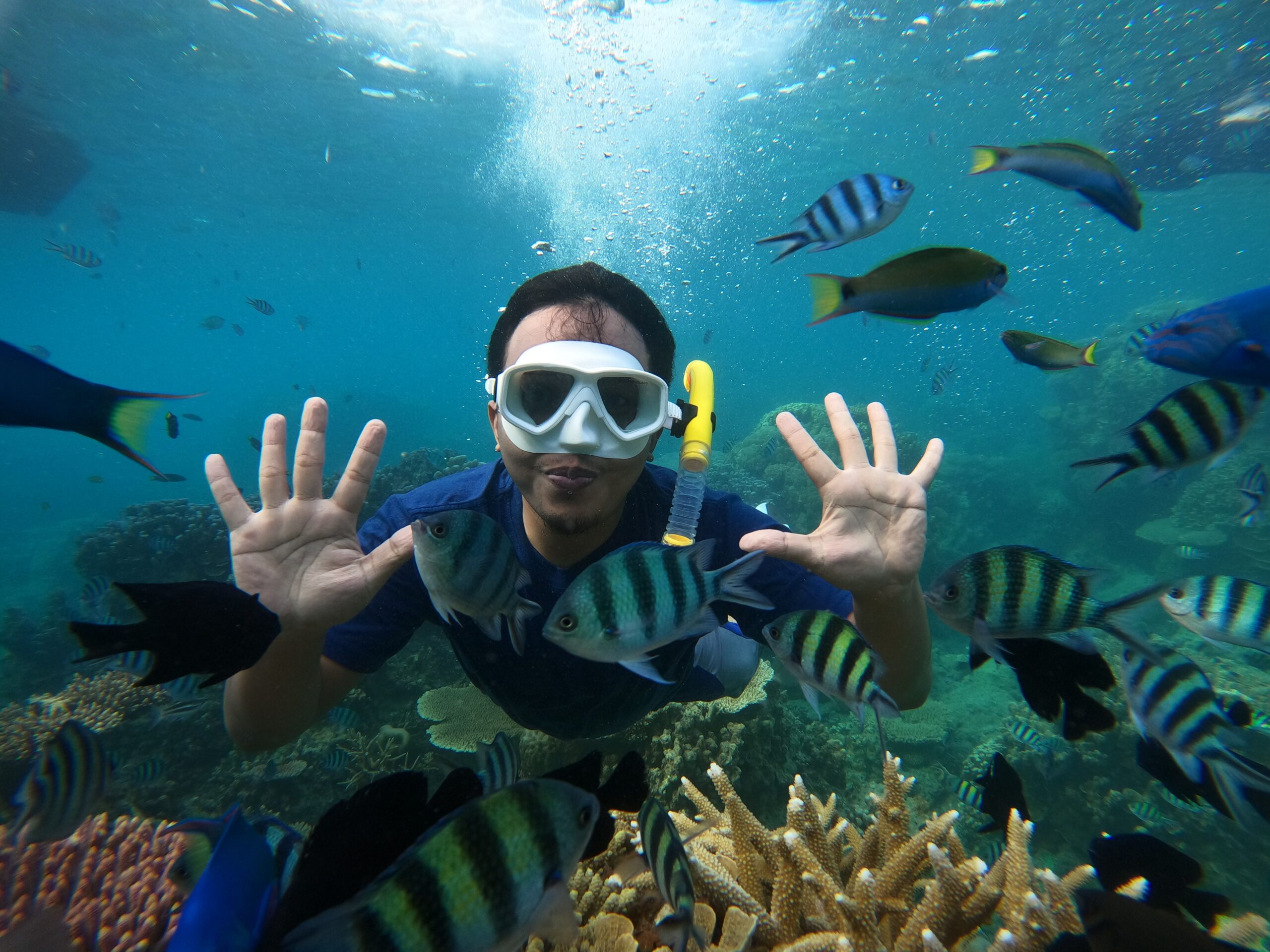 Buceo en Nha Trang: lo que cambió en la bahía desde el cierre de Hon Mun