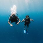 Le rôle des plongeurs citoyens dans la protection des océans