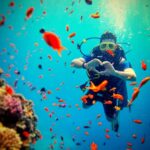 Adventure Scuba à Nice : ce qu’on peut vérifier, et comment choisir un club