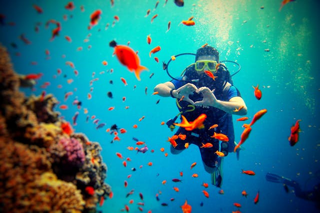 Adventure Scuba à Nice : ce qu’on peut vérifier, et comment choisir un club