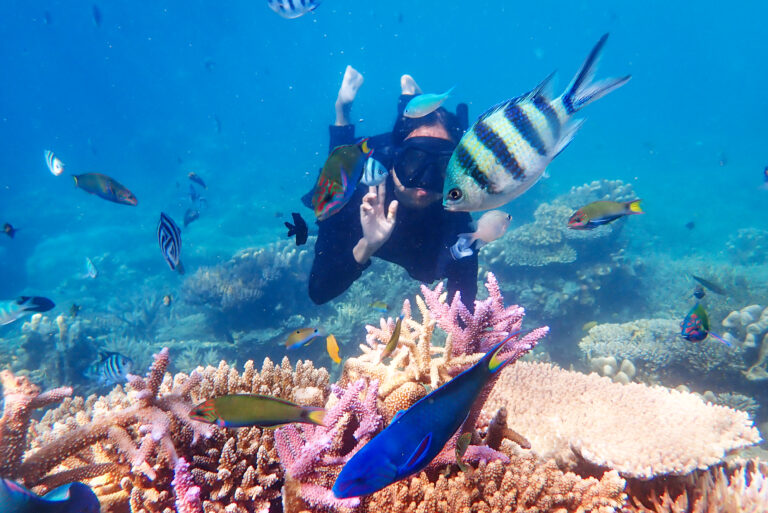 Buceo en Palawan: pecios de Coron, El Nido, Tubbataha y lo que debes revisar antes de reservar
