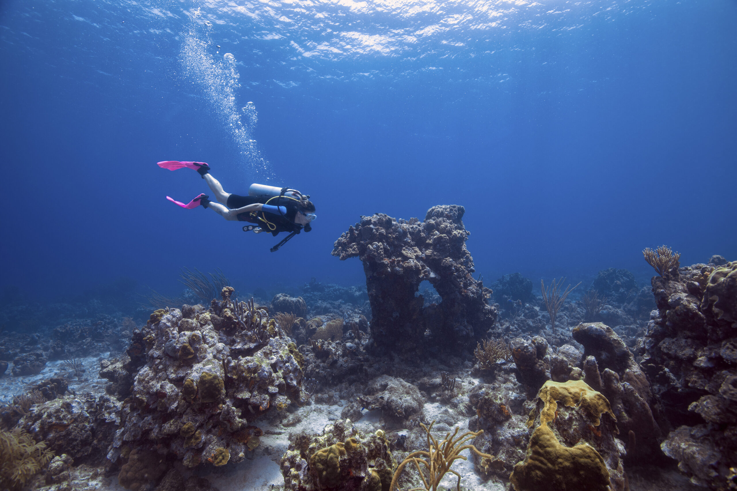 Plongée aux Philippines : Anilao, la macro du passage de Verde Island