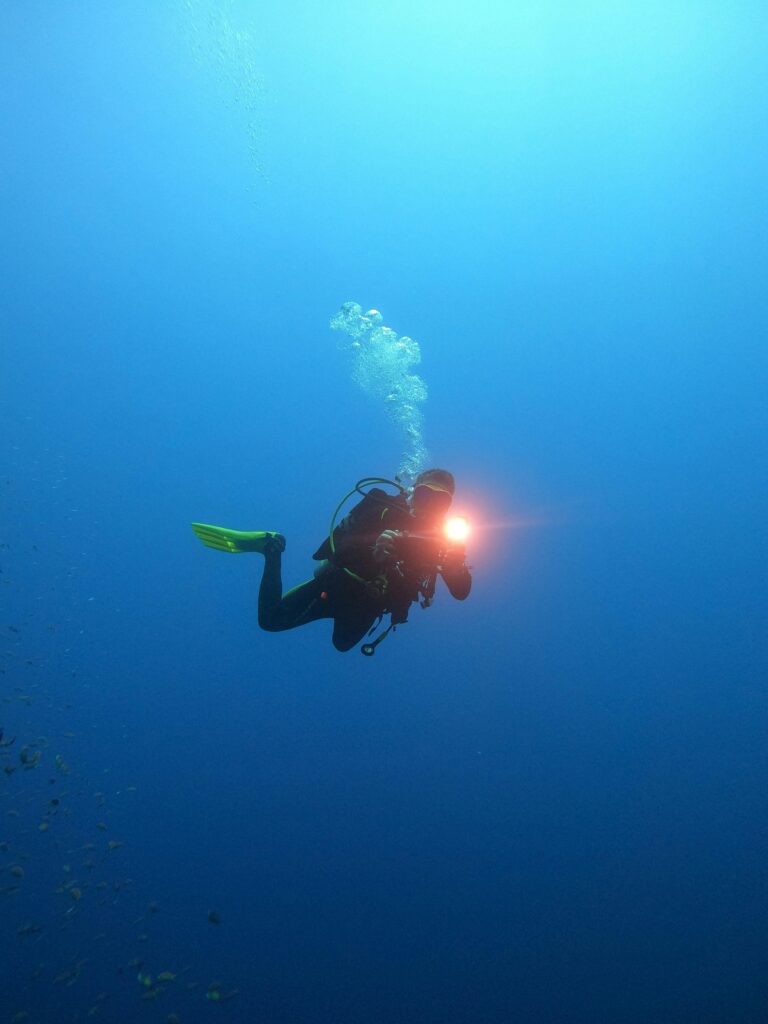 Diving lamp: the right criteria for good visibility at the bottom
