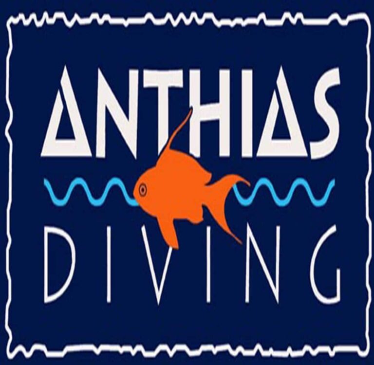 Anthias Diving: the French diving cruise in the Red Sea, what can be verified