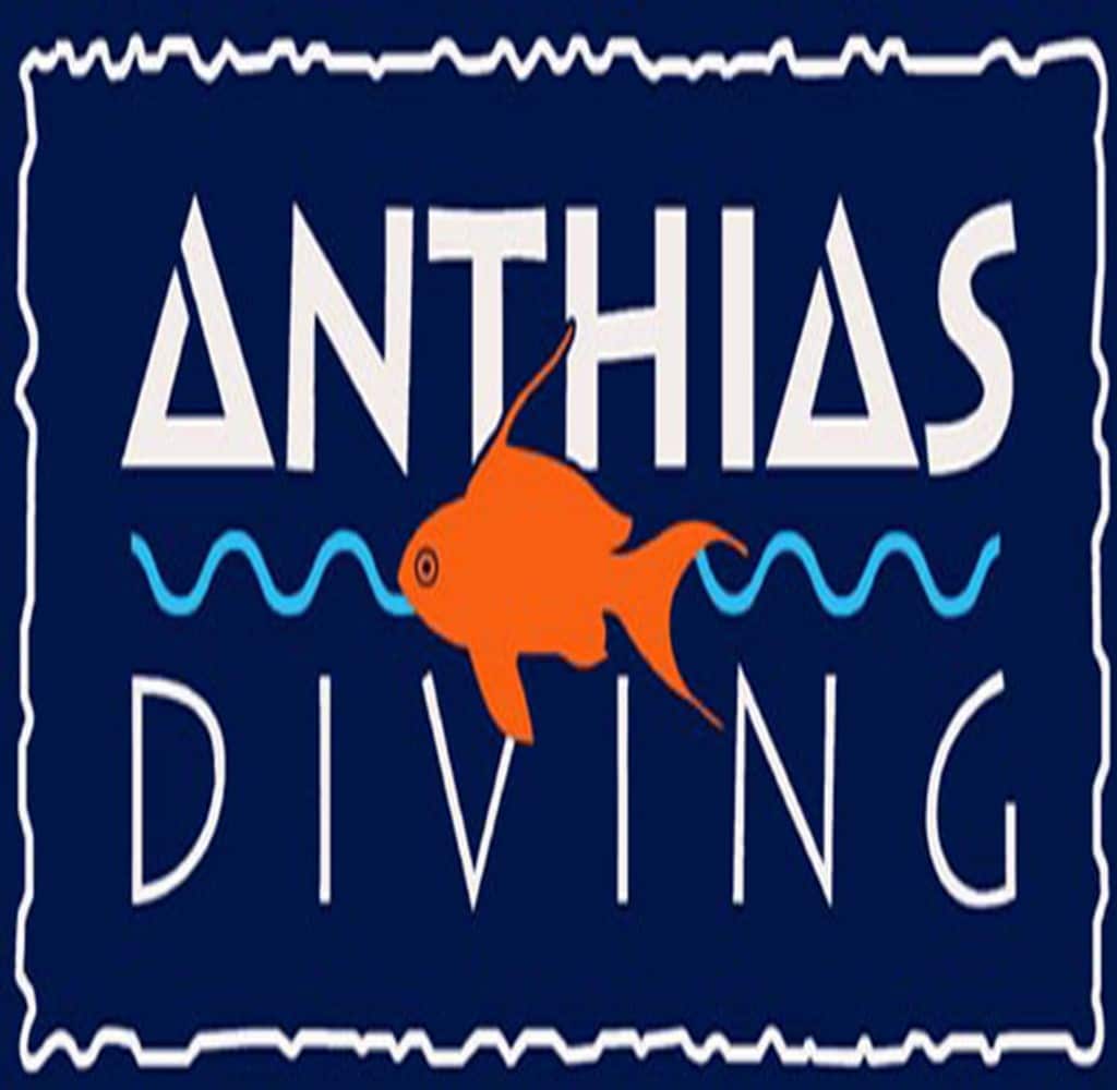 Anthias Plongée : la croisière plongée française en mer Rouge, ce qu’on peut vérifier