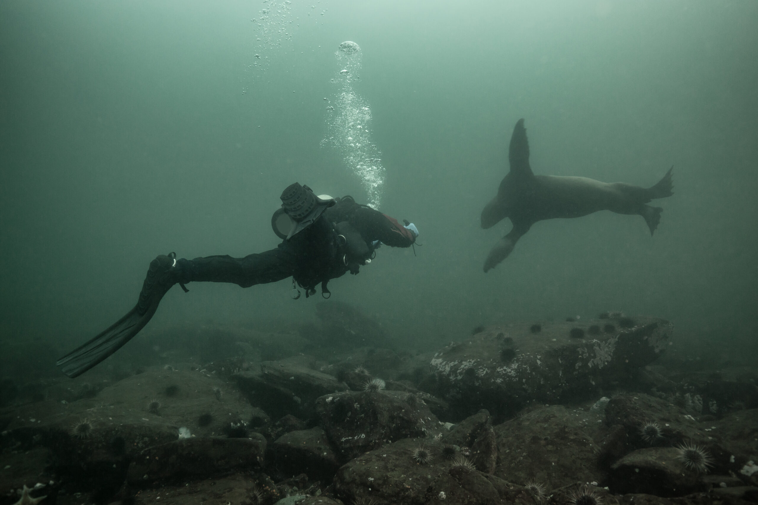 Buceo en Islandia: la falla de Silfra en Þingvellir, reglas, agua fría y plan B