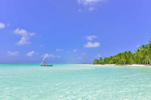 Plongée au Honduras : Roatán, Utila et les îles de la Baie, saisons, niveau et plan de repli
