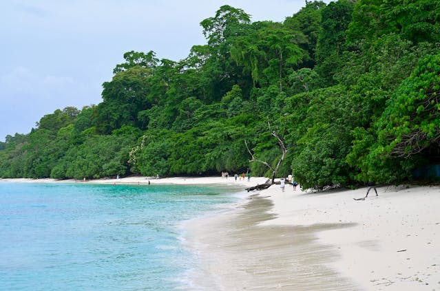 Plongée aux îles Andaman : les sites de Havelock (Swaraj Dweep), saison et formalités