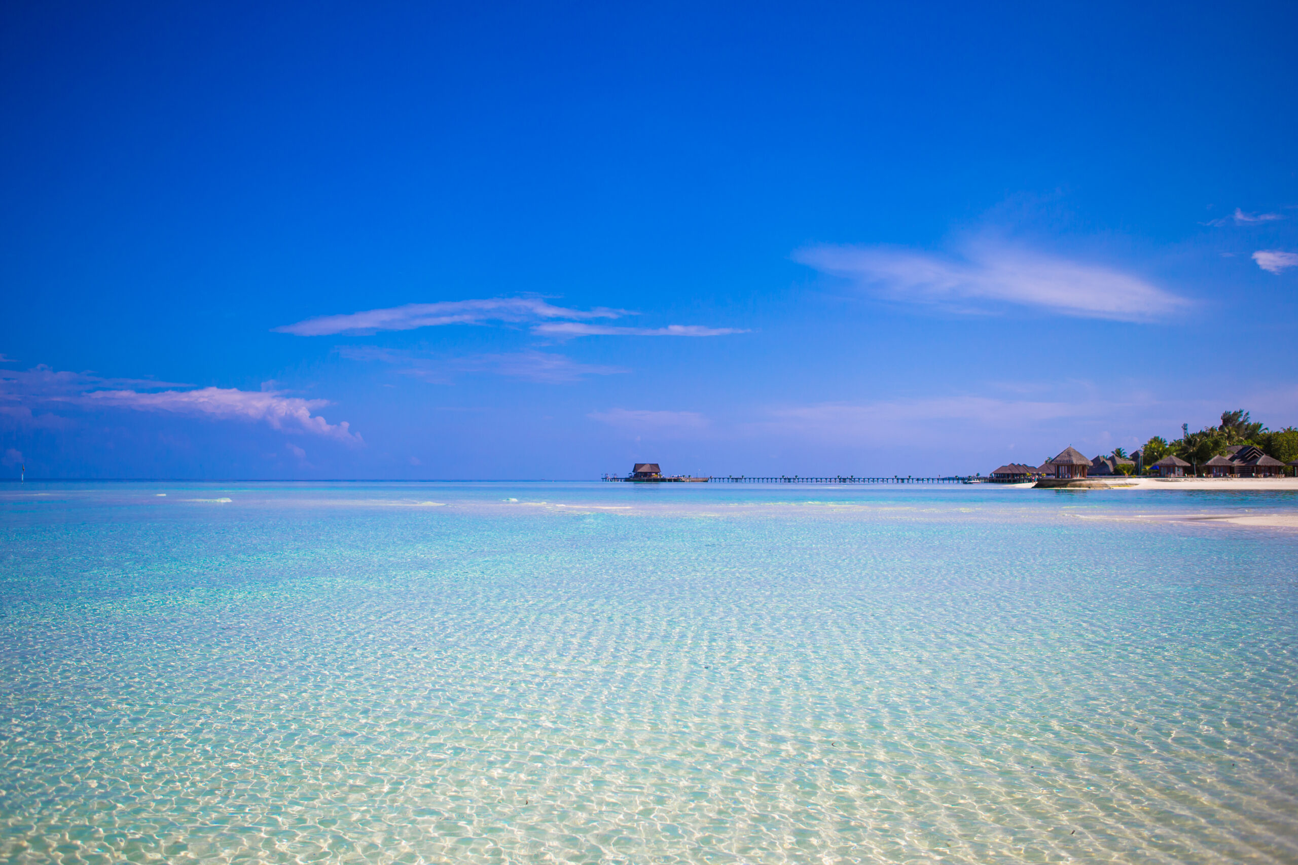 Plongée à Bonaire : ce que Lac Bay permet vraiment, et où plonger du bord