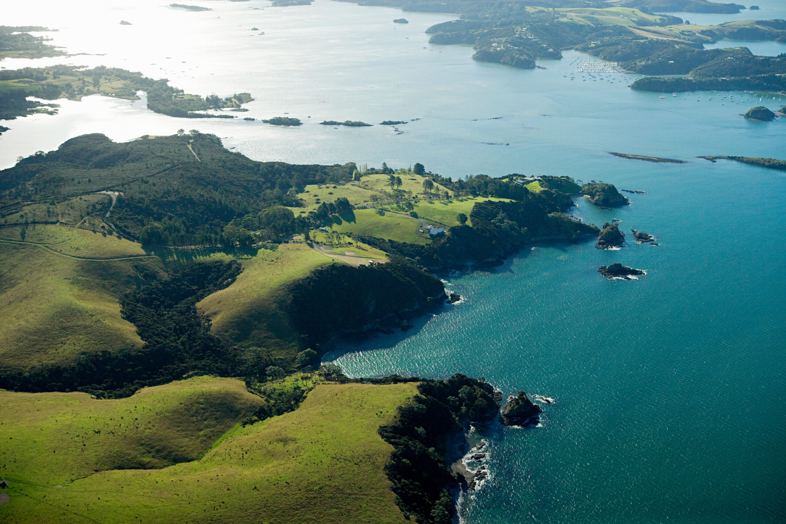 Plongée en Nouvelle-Zélande : la baie des Îles, ses épaves et les Poor Knights