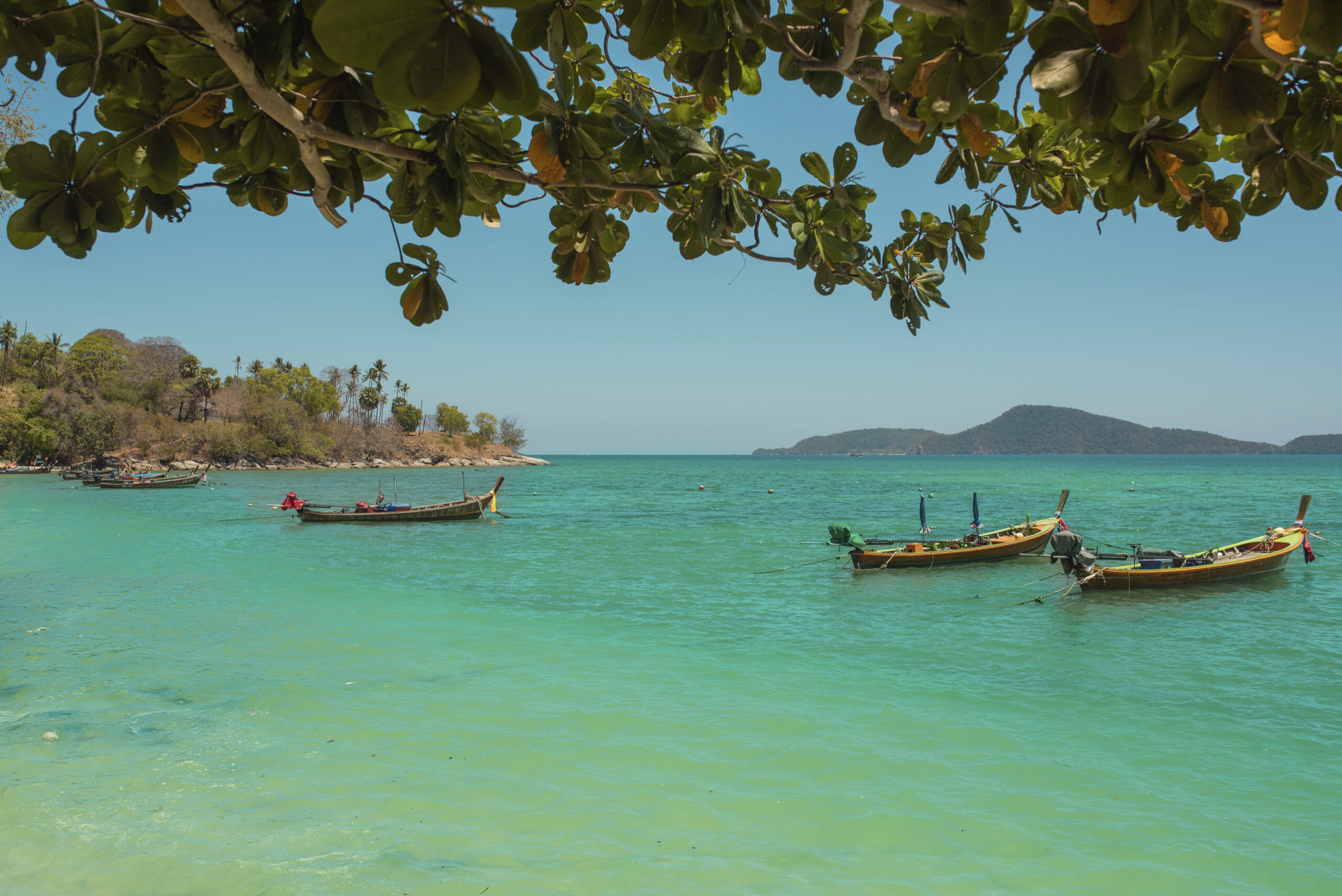 Plongée en Thaïlande aux îles Surin : saison du parc, Richelieu Rock et état des récifs