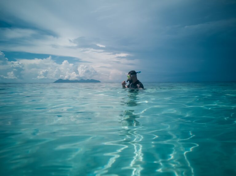 Buceo en Seychelles: el parque marino de Sainte Anne, temporadas, nivel y trámites