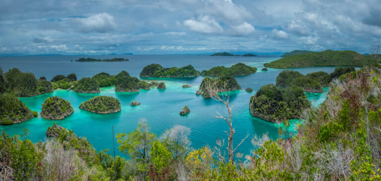 Buceo en Indonesia: Los sitios de buceo de Raja Ampat