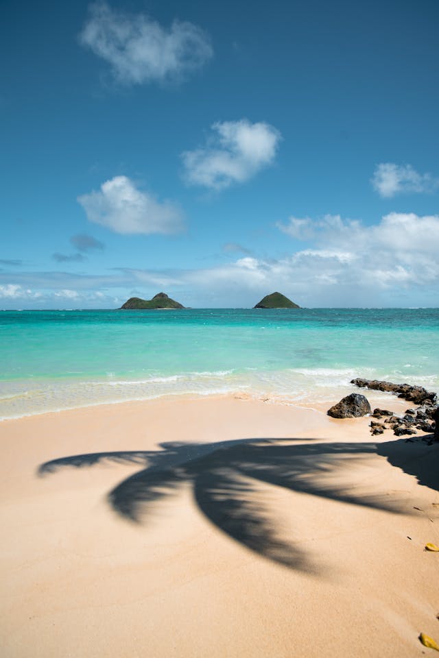 Buceo en las Islas Cook: Rarotonga, temporadas, ballenas jorobadas y parque marino Marae Moana