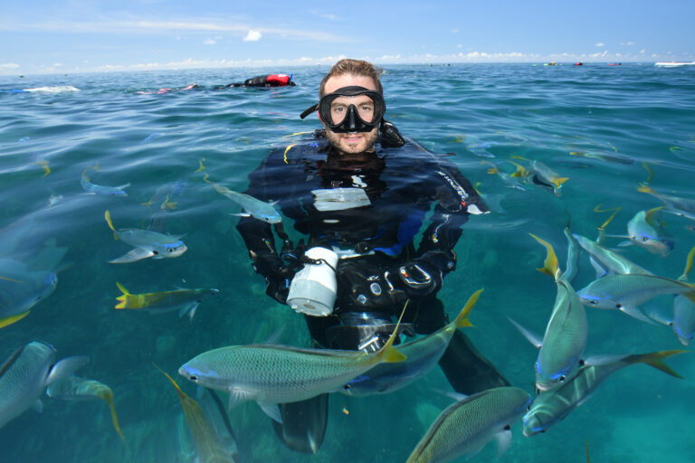 Buceo en la isla de Tiran: los arrecifes del estrecho, el nivel exigido y el estatus de la isla
