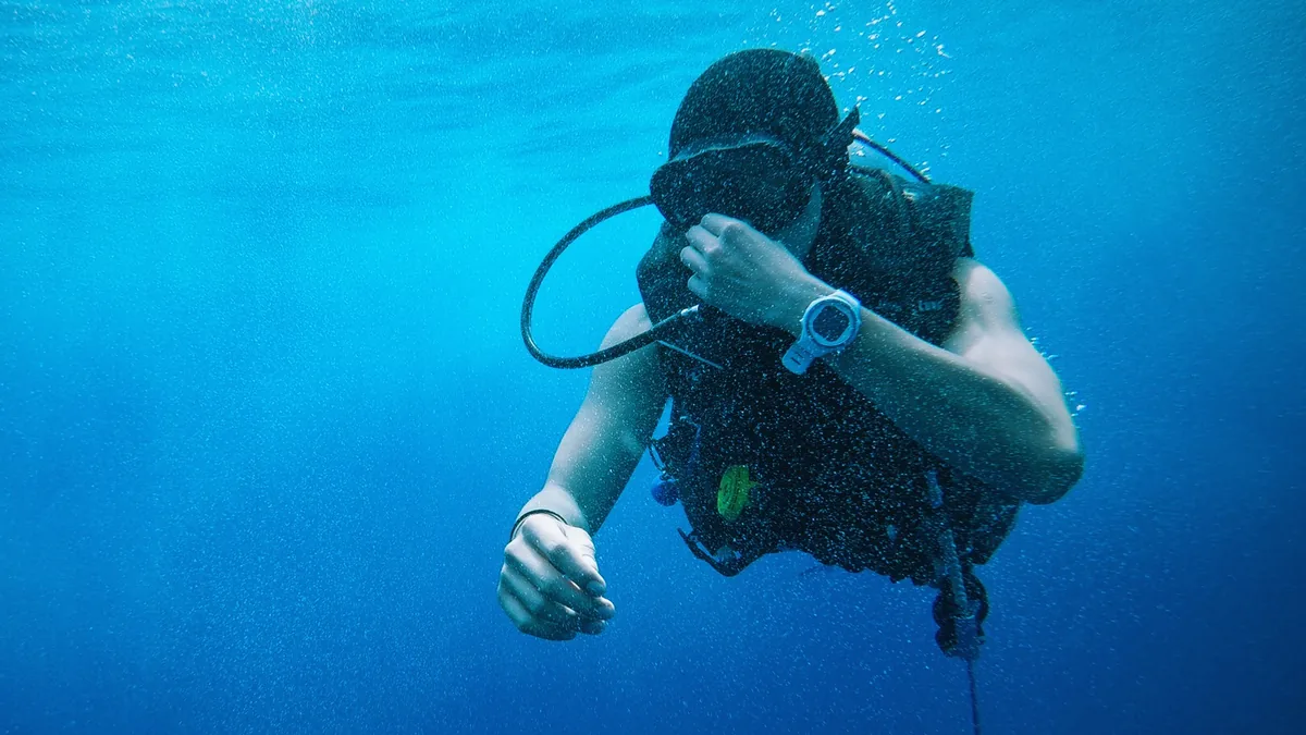 Plongée sous-marine aux Maldives : Les sites incontournables