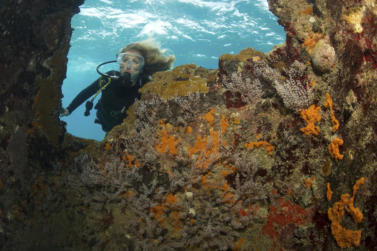 Buceadora explorando un arrecife rocoso cubierto de organismos naranjas y rojos