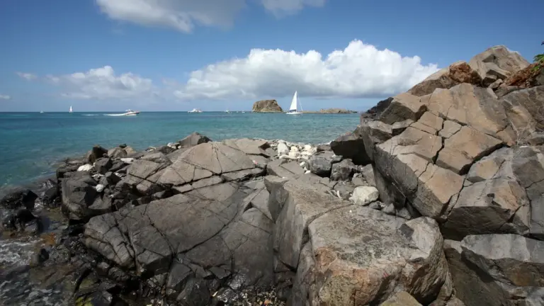 Buceo en Saint-Martin: los arrecifes de la reserva natural y del parque marino de Sint Maarten